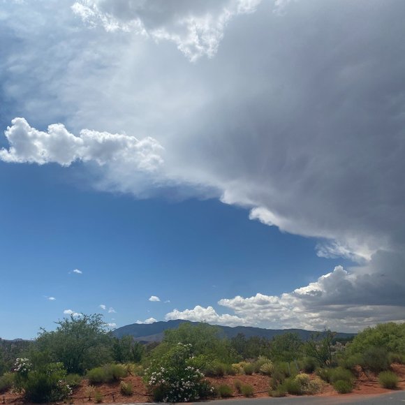 Meet your Posher, Amelia - Picture 1 of 1